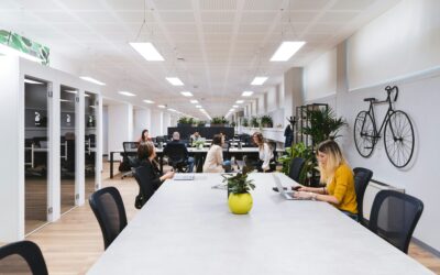 [Ressource] Comment valoriser votre actif immobilier par la rénovation énergétique : stratégie et actions à mettre en place, pour un retour sur investissement optimum